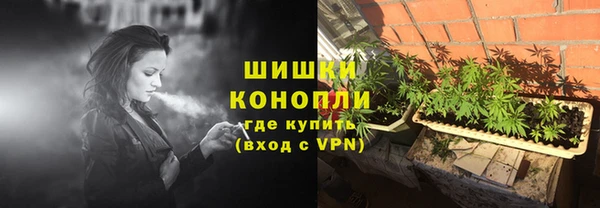 spice Алзамай