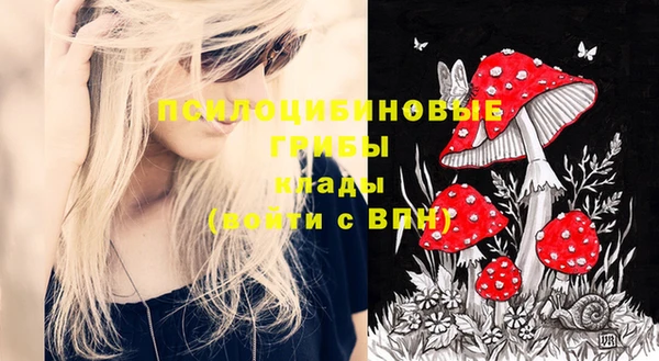 дживик Абинск