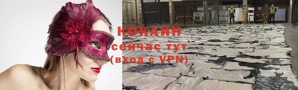 spice Алзамай