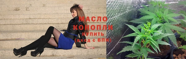дживик Абинск